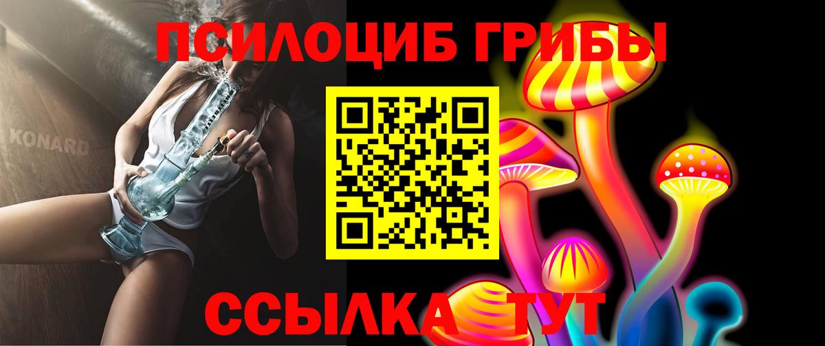 Нарткала  Псилоцибиновые грибы Cubensis  Вход с VPN 